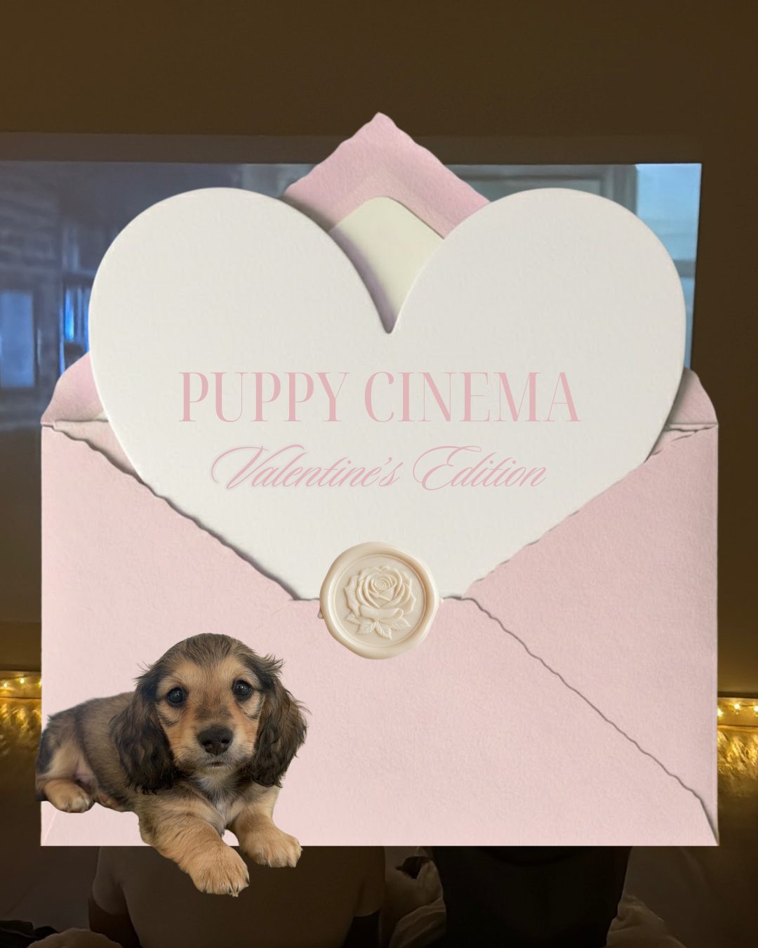 Valentine’s Cinema Screenings