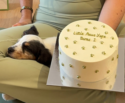 Puppy Pilates & Matcha Event