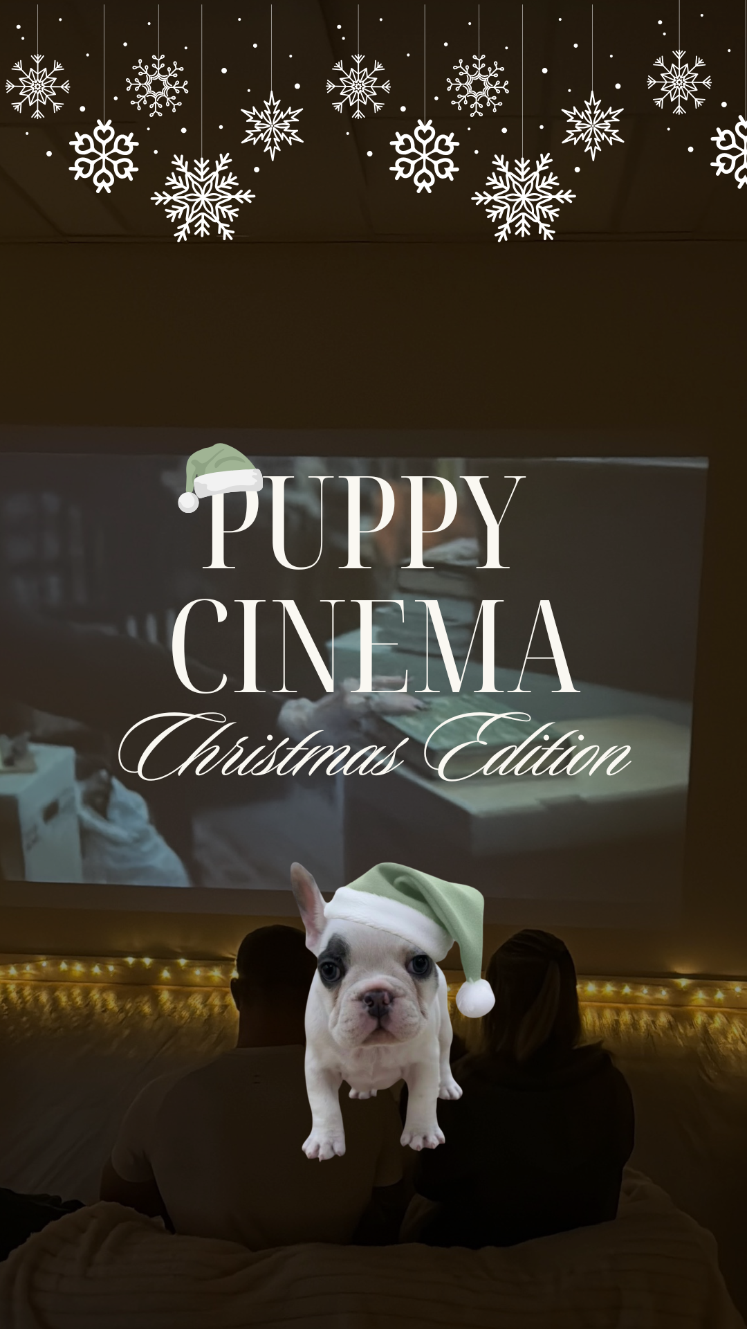 Christmas Cinema Screenings